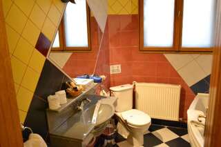 Гостевой дом Pensiunea Casa Cranta Брашов Двухместный номер с 2 отдельными кроватями-16